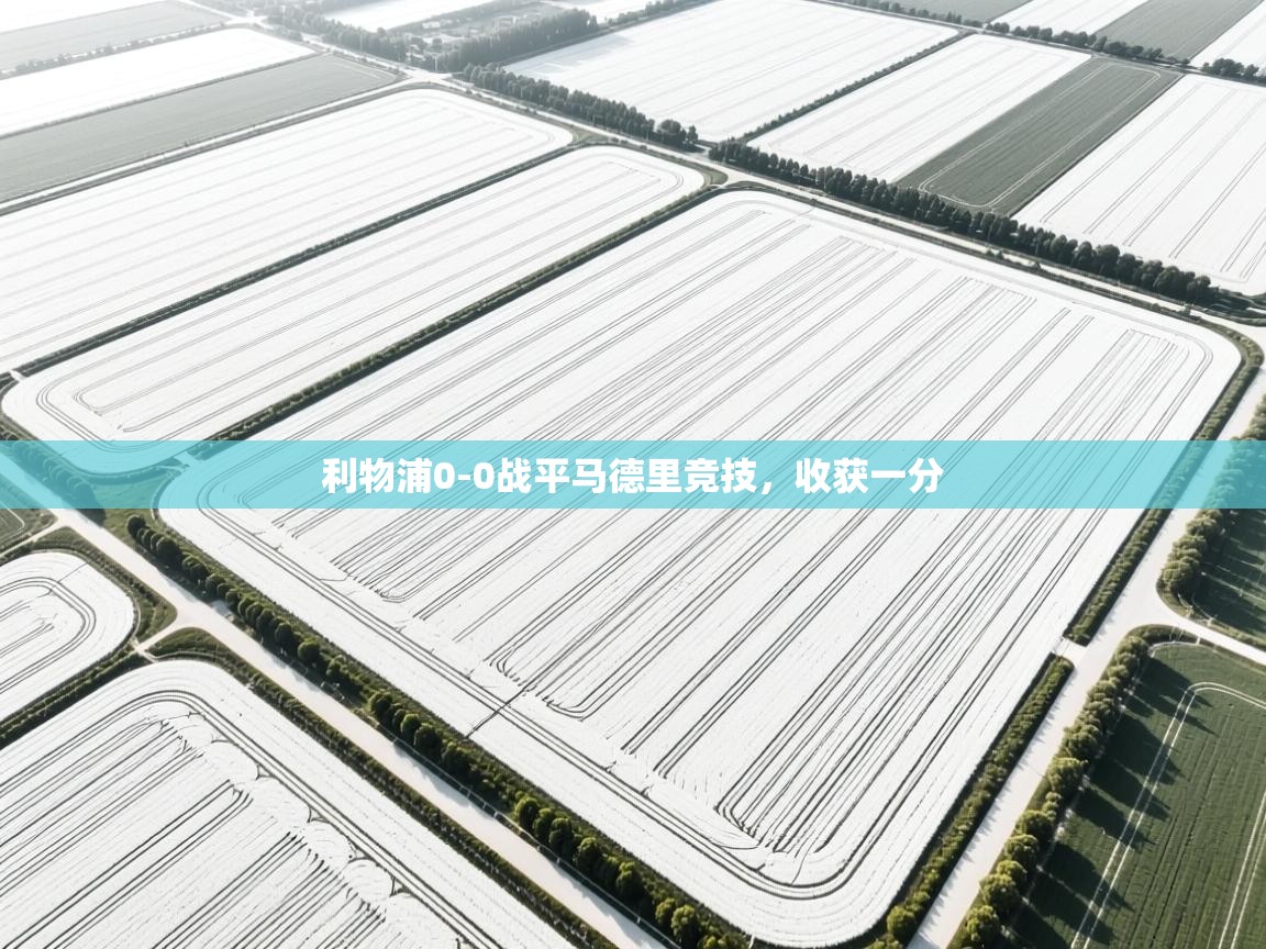 利物浦0-0战平马德里竞技，收获一分  第1张