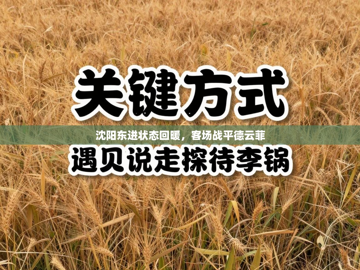 沈阳东进状态回暖,客场战平德云菲 第1张