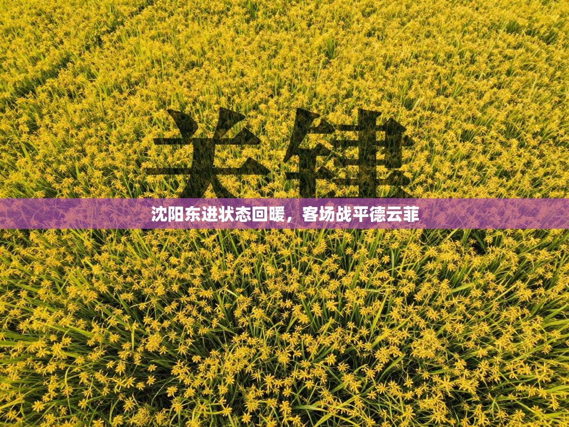 沈阳东进状态回暖,客场战平德云菲 第2张