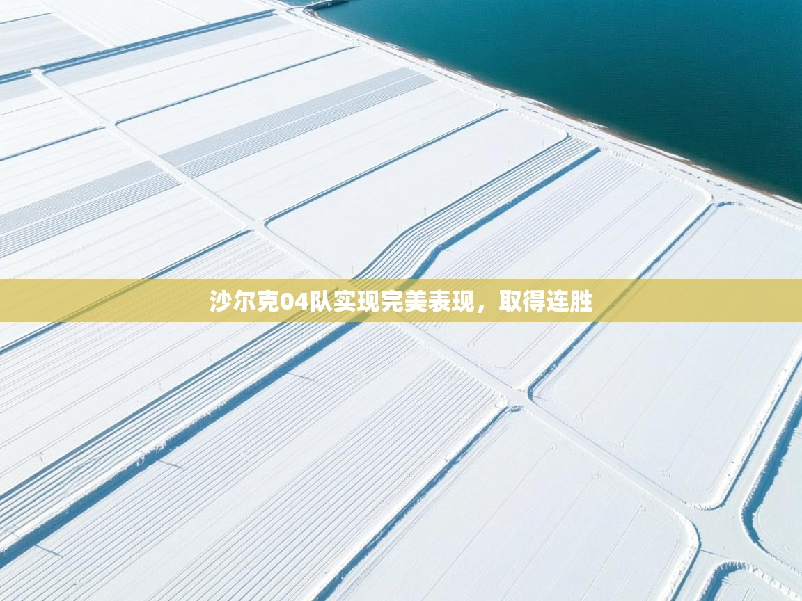 沙尔克04队实现完美表现，取得连胜  第1张